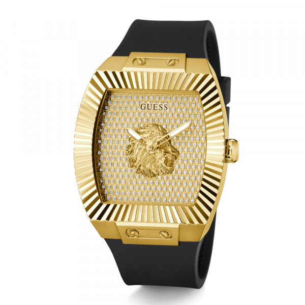 montre-phoenix-gw1066g2