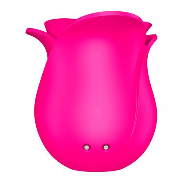 succionador-pro-2-classic-modern-blossom