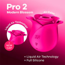 pro-2-