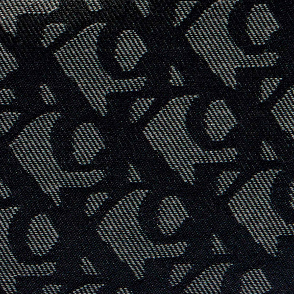 bolso-monogram-crossbody-camera