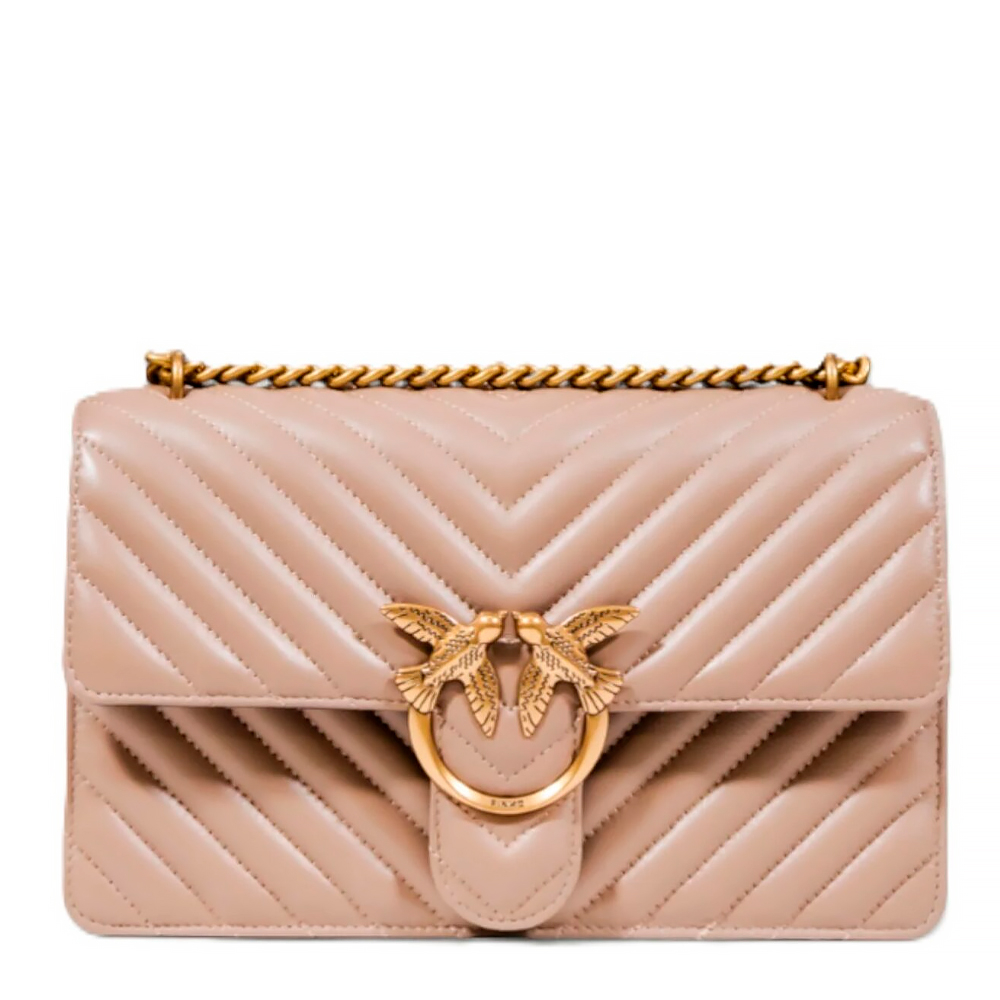 Pinko Women's Beige Bags, Toiletry Bags And Suitcases For Love One Classic Bag 100941 A0gk