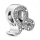 charm-leo-zodiaco-brilhante-798414c01