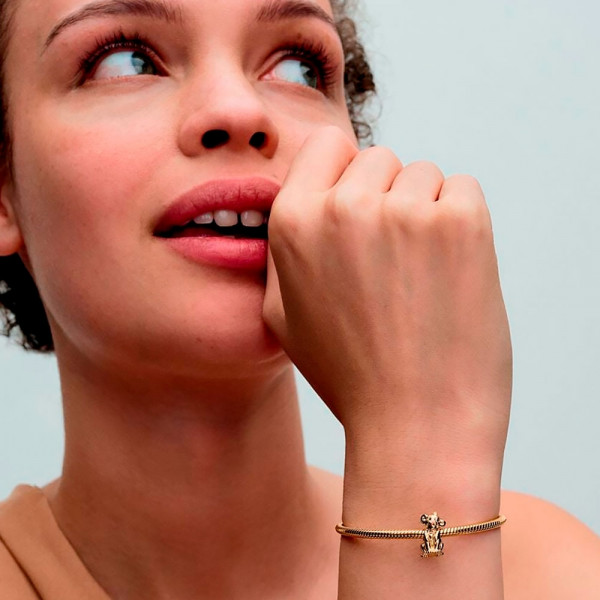 charm-simba-der-konig-der-lowen-von-disney-763376c01