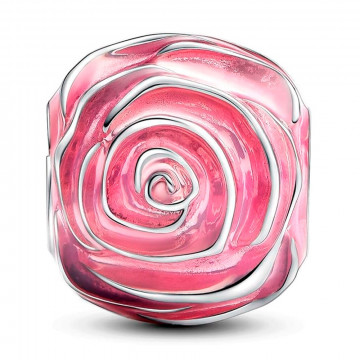 charme-rose-rose-en-fleurs-793212c01