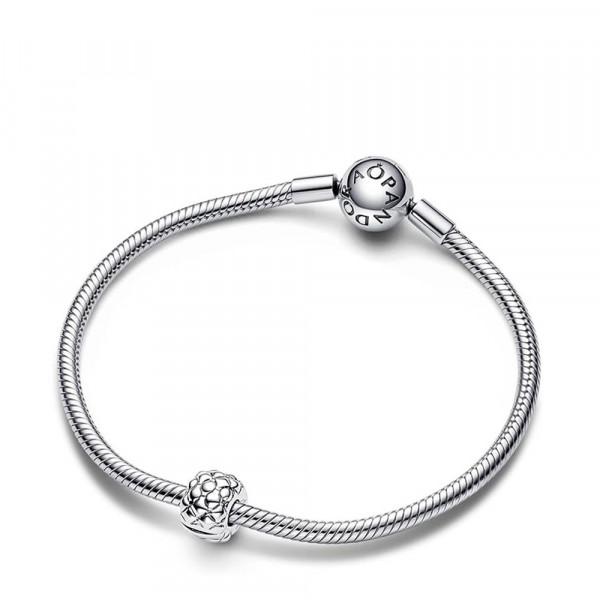 clip-con-borchie-larghe-792746c00