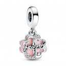 friendship-double-four-leaf-clover-pendant-charm-792245c01
