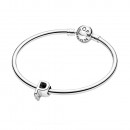 charme-em-prata-letra-p-797470
