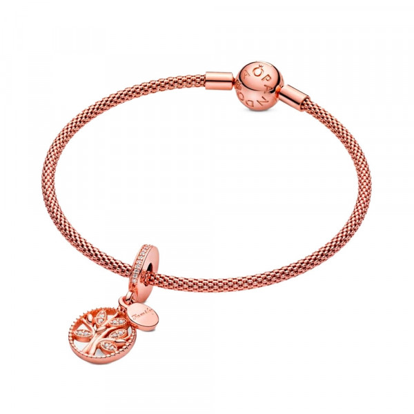 family-heirance-pendant-charm-781728cz