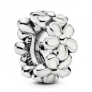 divisorio-dear-daisies-791495en12