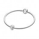 charm-de-clip-plumas-pulidas-791752