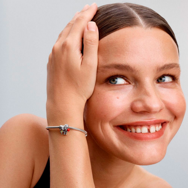 charm-carl-y-ellie-up-de-disney-pixar-793649c01