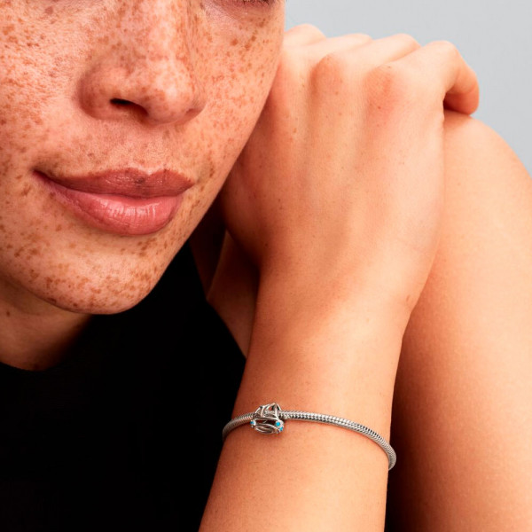 charm-velero-793905c01