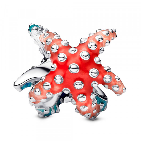 charm-mini-seestern-793817c01