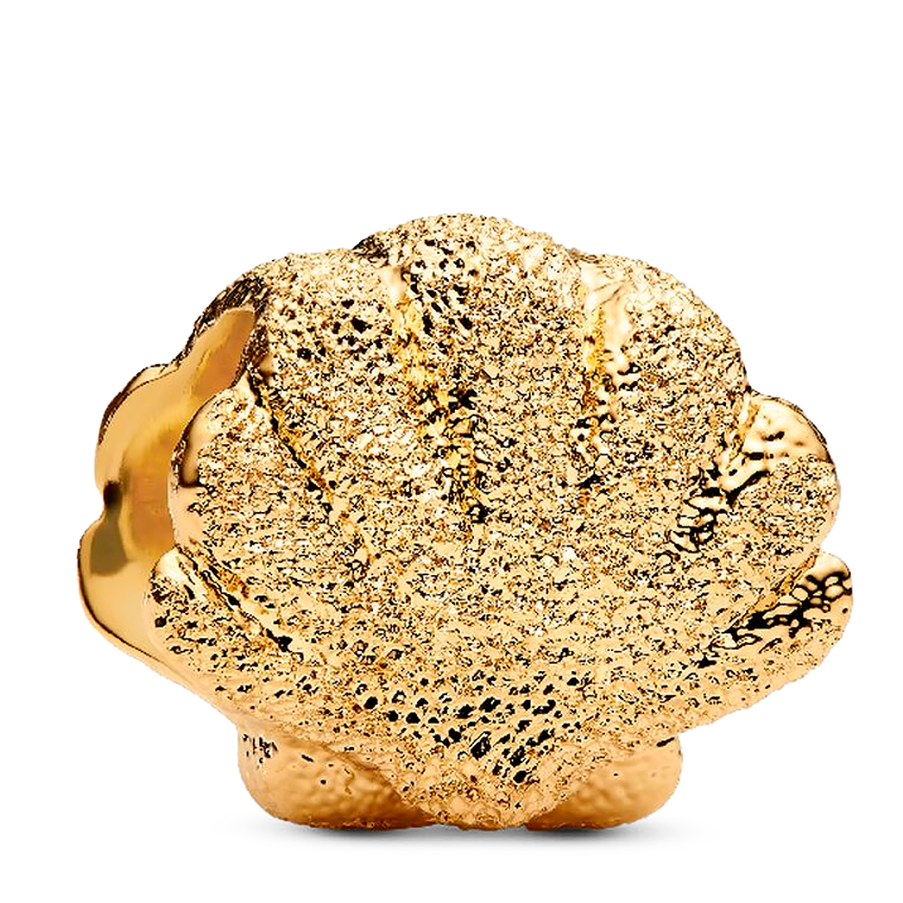 Pandora Charm Mini Concha Textura 764057C00