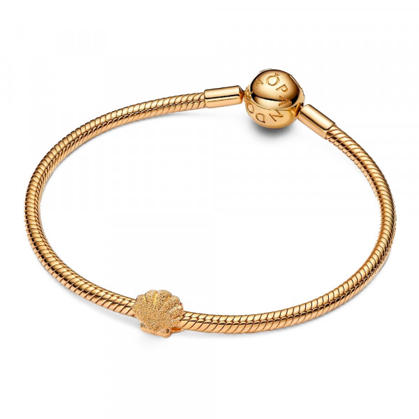 charm-mini-muschel-textur-764057c00