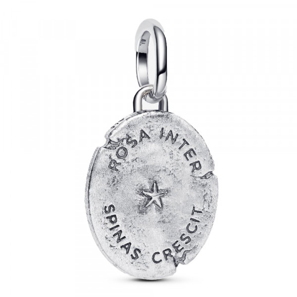 charm-de-medallon-de-rosa