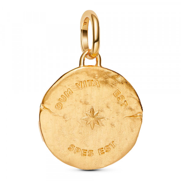 swallow-medallion-charm