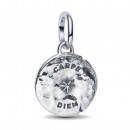 skull-medallion-charm-794089c01
