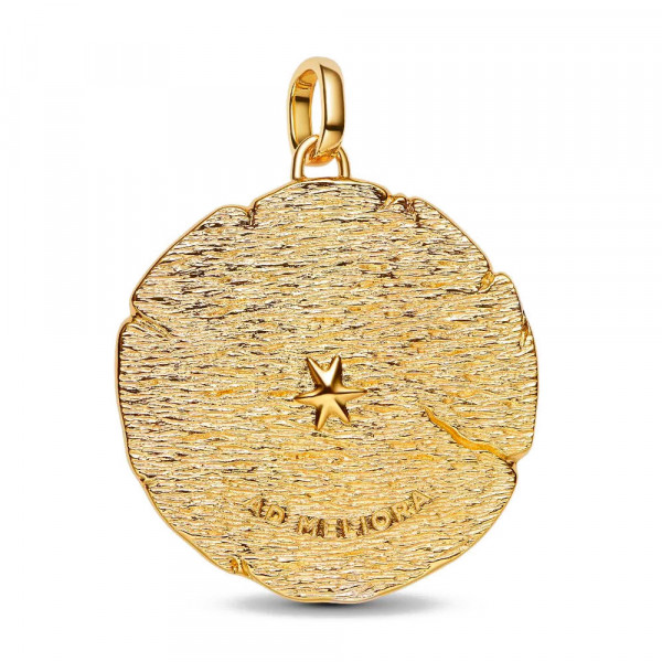 grande-medalhao-com-flechas-cruzadas-764084c01