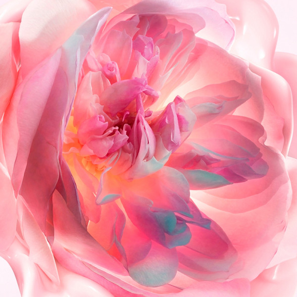 miss-dior-schmelzende-handcreme