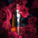 forbidden-rose