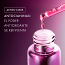 concentre-a-la-rose-noire-serum-intensive-treatment-serum