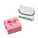 Caja de Regalo Rosa Premium Pandora