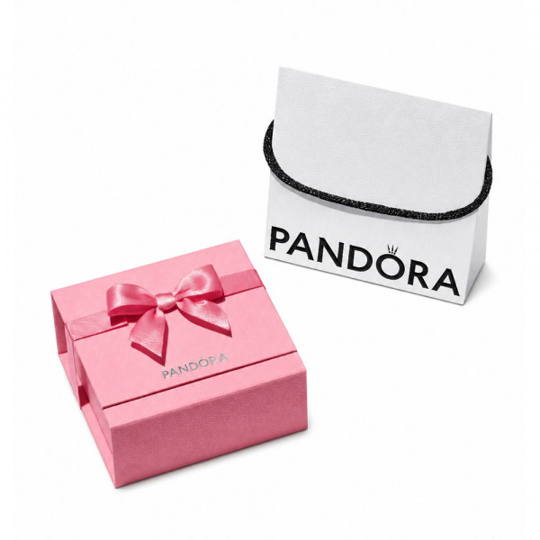 Caja de Regalo Pandora Rosa Premium