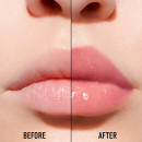 dior-addict-lip-maximizer-limited-edition-the-volume-effect-gloss-with-irresistible-mirror-shine