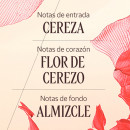 fleurs-de-cerisier