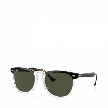 eagle-eye-sunglasses