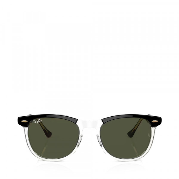 eagle-eye-sunglasses
