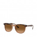LUNETTES DE SOLEIL &OElig;IL D'AIGLE 0RB2398 1292M2