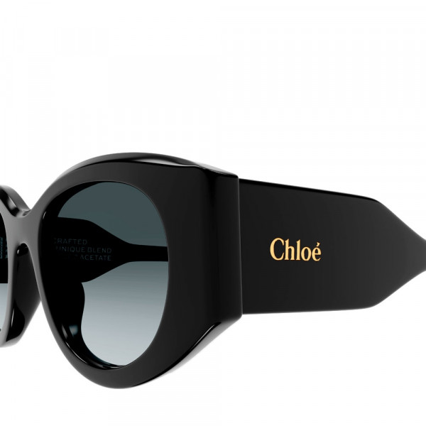 ch0251s-sunglasses