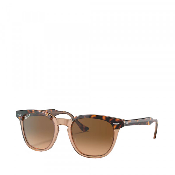 rb2298-hawkeye-sonnenbrille