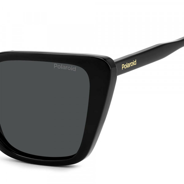 lunettes-de-soleil-pld-4189-s
