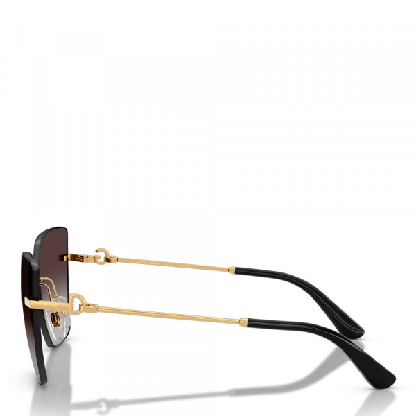 dg-sunglasses-0dg2321
