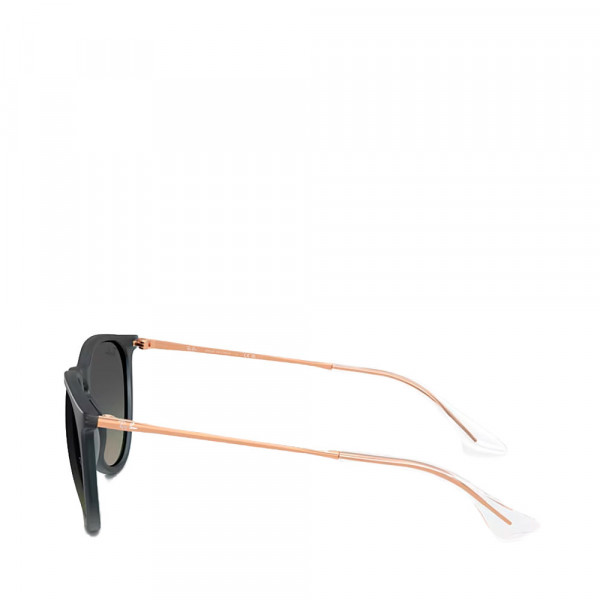 gafas-de-sol-0rb4171-erika
