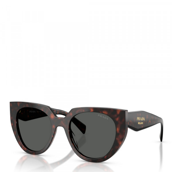 sunglasses-0pr-14ws