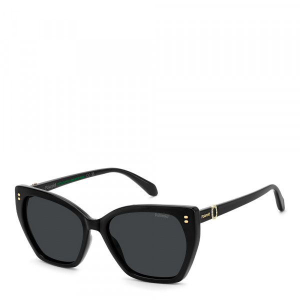 sonnenbrille-pld-4198-s-x