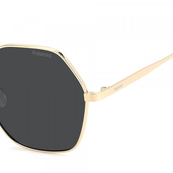 lunettes-de-soleil-pld-4205-g-s-x