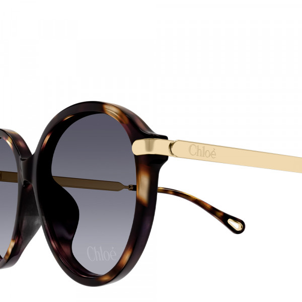 sunglasses-ch0358sk