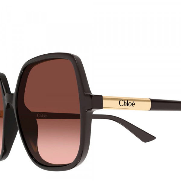 sunglasses-ch0362s