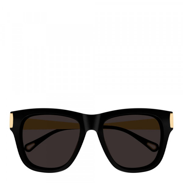 lunettes-de-soleil-ch0349s