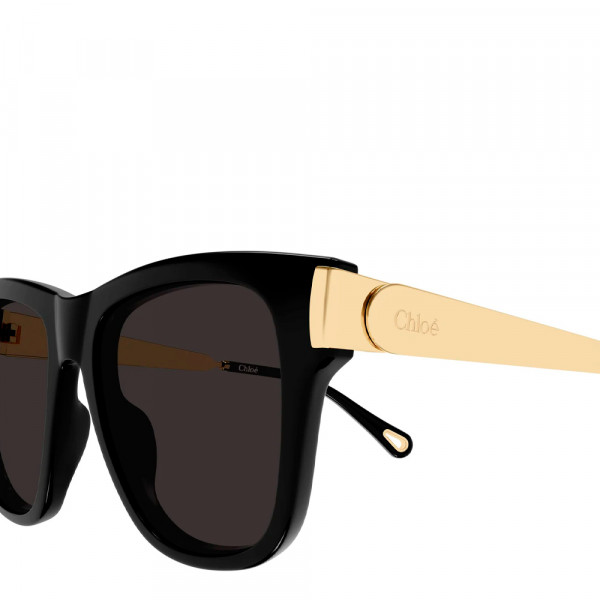 oculos-de-sol-ch0349s