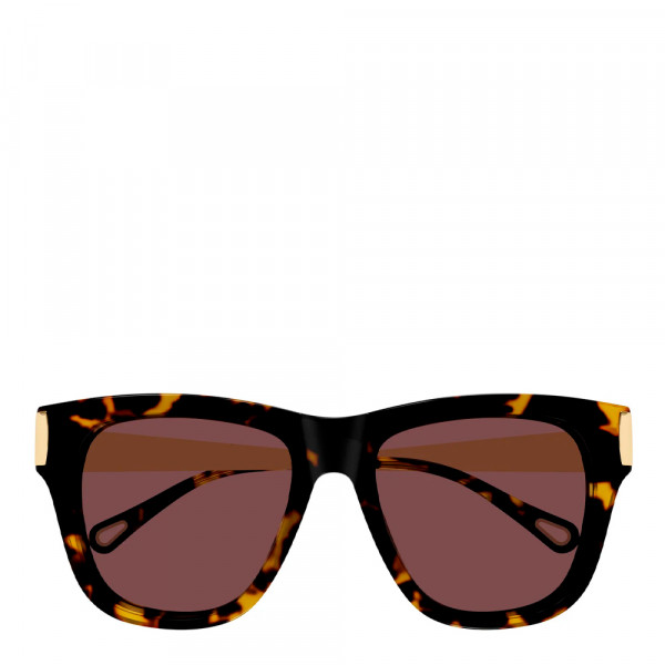 sunglasses-ch0349s