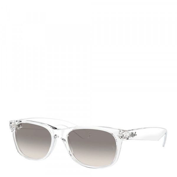 new-wayfarer-classic-sunglasses