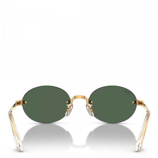 occhiali-da-sole-rb3929-di-aap-rocky