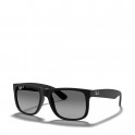 Lunettes de soleil Justin 0RB4165