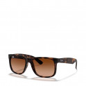 LUNETTES DE SOLEIL CLASSIQUES JUSTIN RB4165